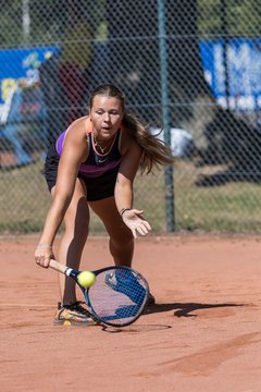 Album: 2024 - 